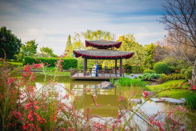 Hunter valley gardens wedding photographer