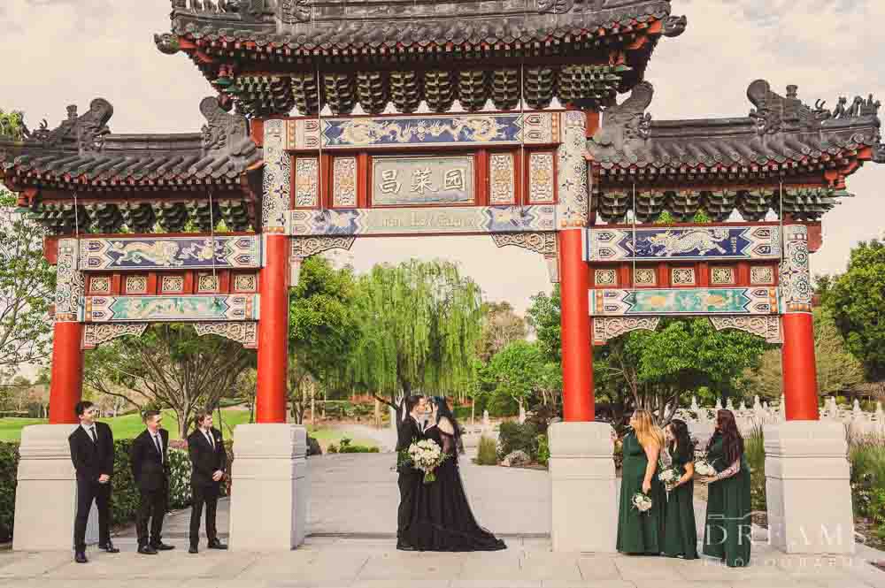 Jannawi Gardens, Nurragingy reserve 4