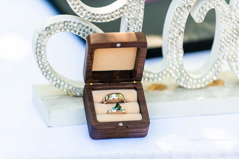 Jannawi Gardens, Nurragingy reserve 9