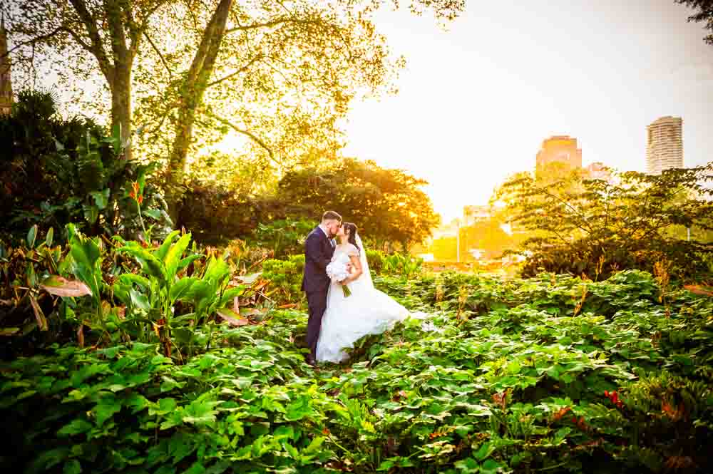 golden hour photo in Hyde Park Sydney